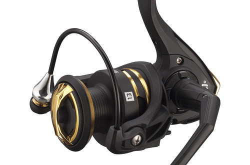 Reels
