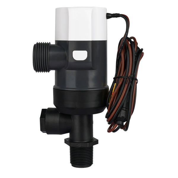 Commodore 1100 GPH Vertical Livewell Pump - Short - 12V [CM-D31-1100L] - Image 2