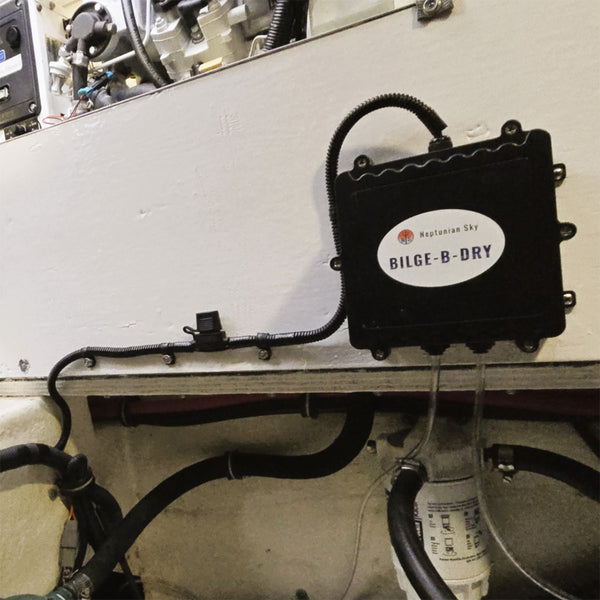 BILGE-B-DRY Triple Pump - 12VDC [BBD-2025-123] - Image 7