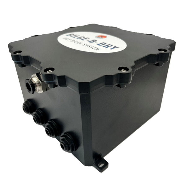 BILGE-B-DRY Quad Pump - 12VDC [BBD-2025-124] - Image 4