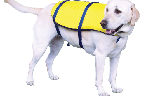 Pet Accessories