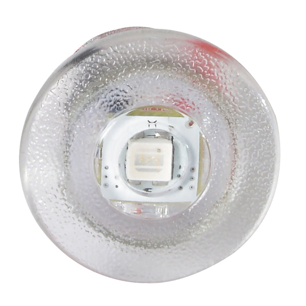 Lumitec Newt - Livewell  Courtesy Light - Warm White Non-Dimming [101240] - Image 3