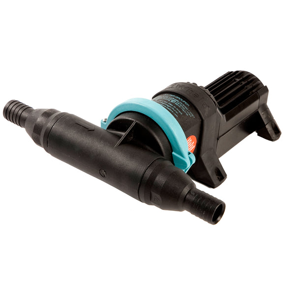 Whale Gulper Grouper Fishbox Evacuation Pump 12V [BP4572] - Image 1