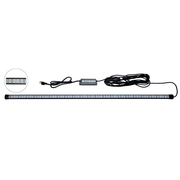 Hydro Glow DM260B 40W/120VAC Dock Mounted Fishing Light - Blue [DM260B] - Image 1