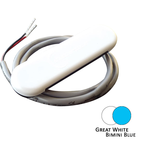 Shadow-Caster Dual Color Courtesy Light w/2 Lead Wire - White Abs Cover - Great White/Bimini Blue [SCM-CL-BB/GW] - Image 1