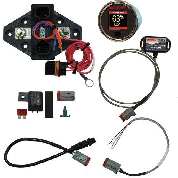 Balmar SG230 Battery Monitor Kit N2K BT Gateway Color Display 12-48VDC [SG230] - Image 1