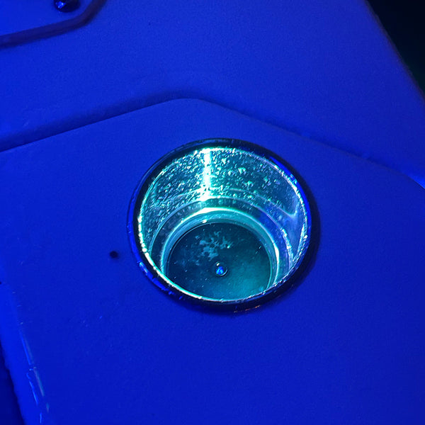 Shadow-Caster Round Accent Light RGB Clear Polycarbonate Housing [SCM-RAL-RGB-0.5] - Image 2