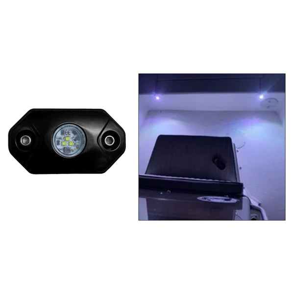 Black Oak Rock Accent Light - White - Black Housing [RL-W] - Image 1
