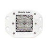 Black Oak 2
